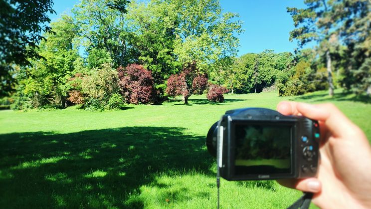 RALLYE PHOTO NATURE - (11/17 ans)
